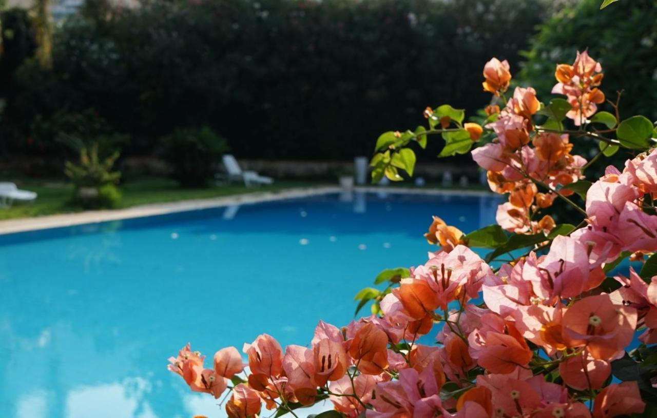 Megna - Paradise Bed & Breakfast